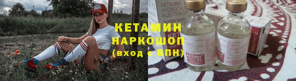 шишки Заволжье