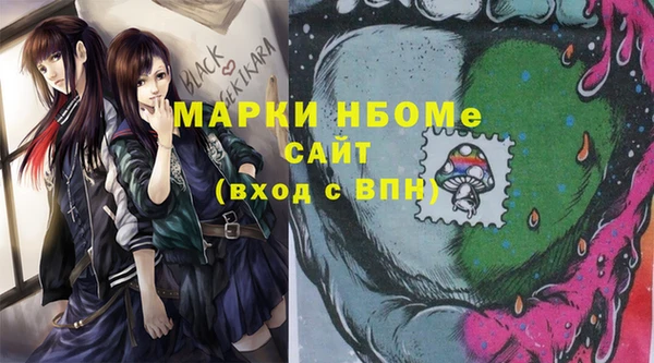 шишки Заволжье
