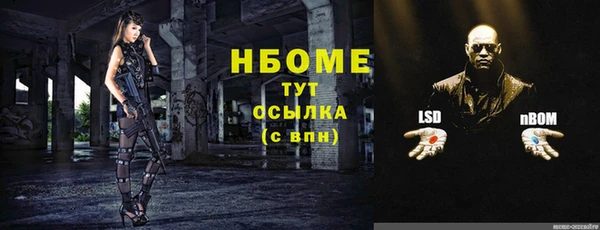 шишки Заволжье