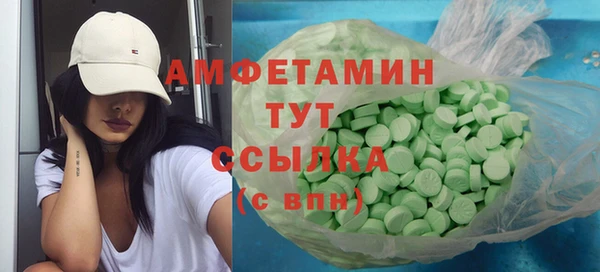 шишки Заволжье