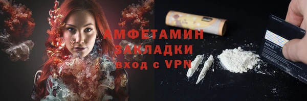 шишки Заволжье