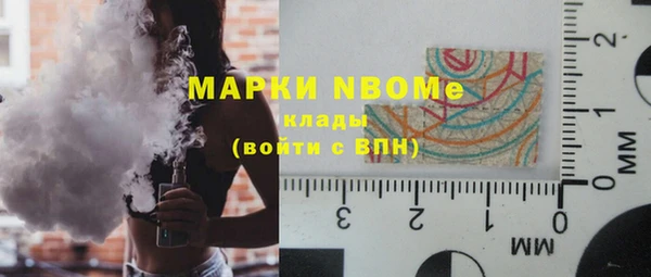 шишки Заволжье