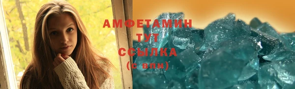 шишки Заволжье
