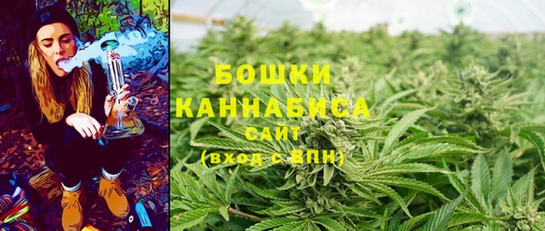шишки Заволжье