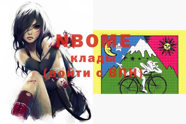 шишки Заволжье