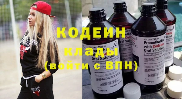 шишки Заволжье