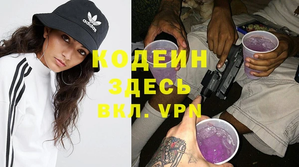 шишки Заволжье