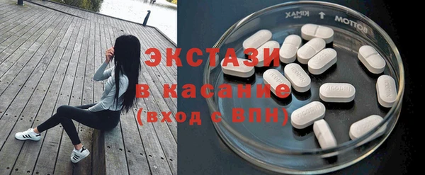 шишки Заволжье