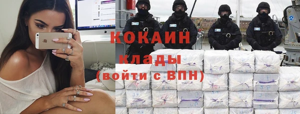 шишки Заволжье