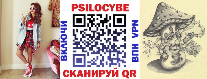 Купить закладки Кизляр Псилоцибиновые грибы Psilocybe
